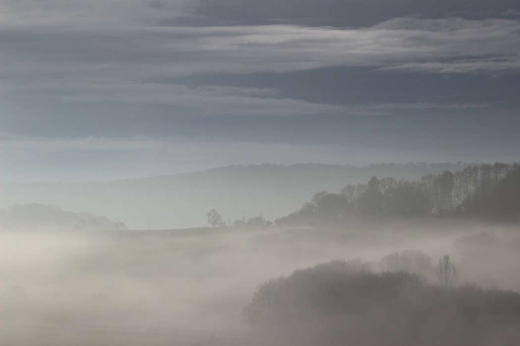 Landschaft im Nebel